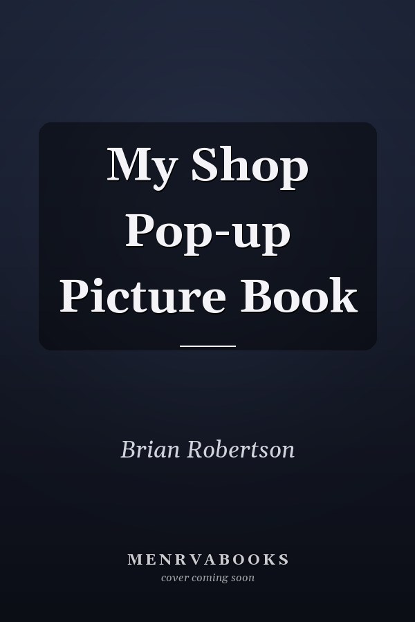 My Shop Pop-up Picture Book