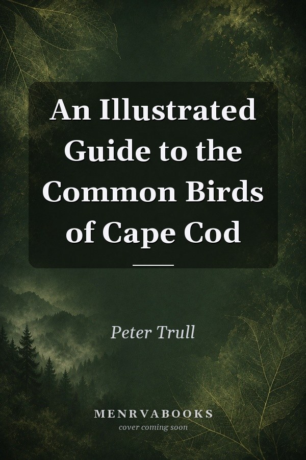 An Illustrated Guide to the Common Birds of Cape Cod