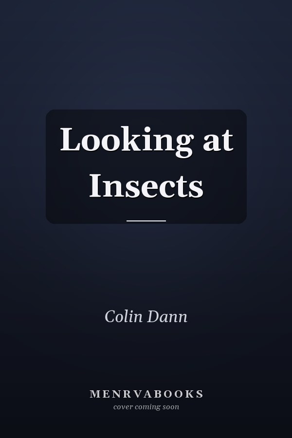 Looking at Insects