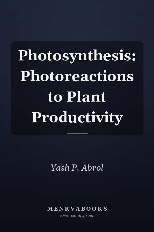 Photosynthesis: Photoreactions to Plant Productivity