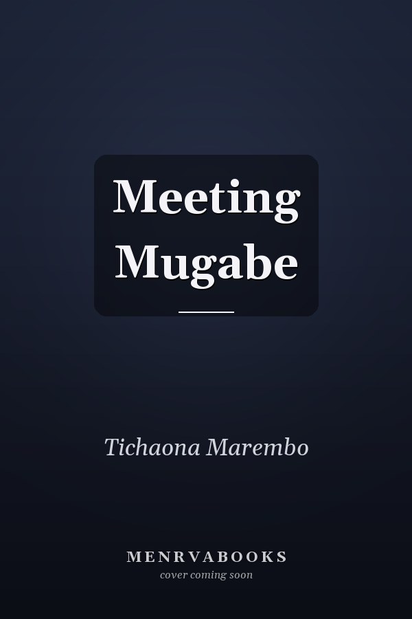 Meeting Mugabe