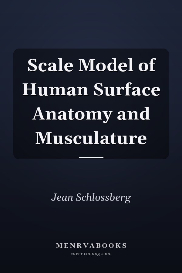 Scale Model of Human Surface Anatomy and Musculature