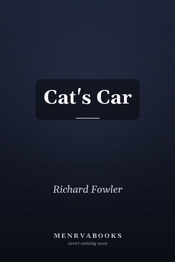 Cat's Car