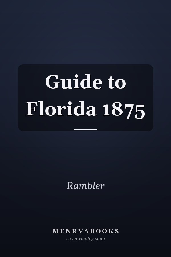 Guide to Florida 1875