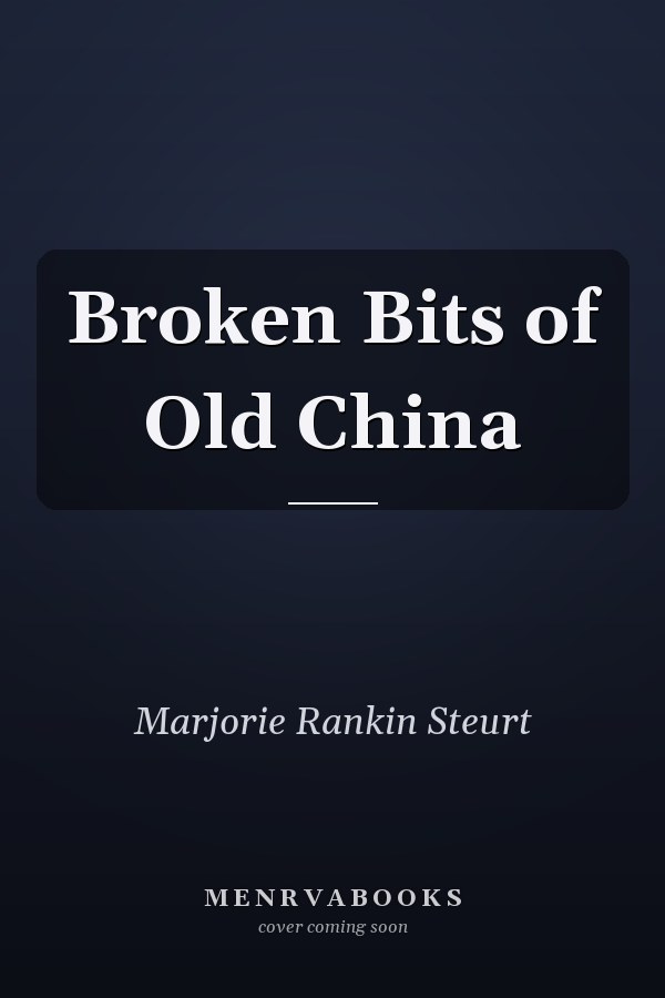 Broken Bits of Old China