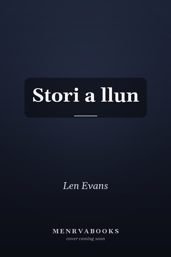 Stori a llun