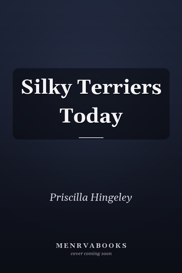 Silky Terriers Today