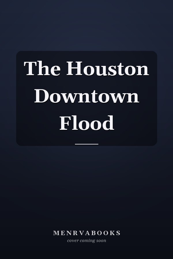 The Houston Downtown Flood