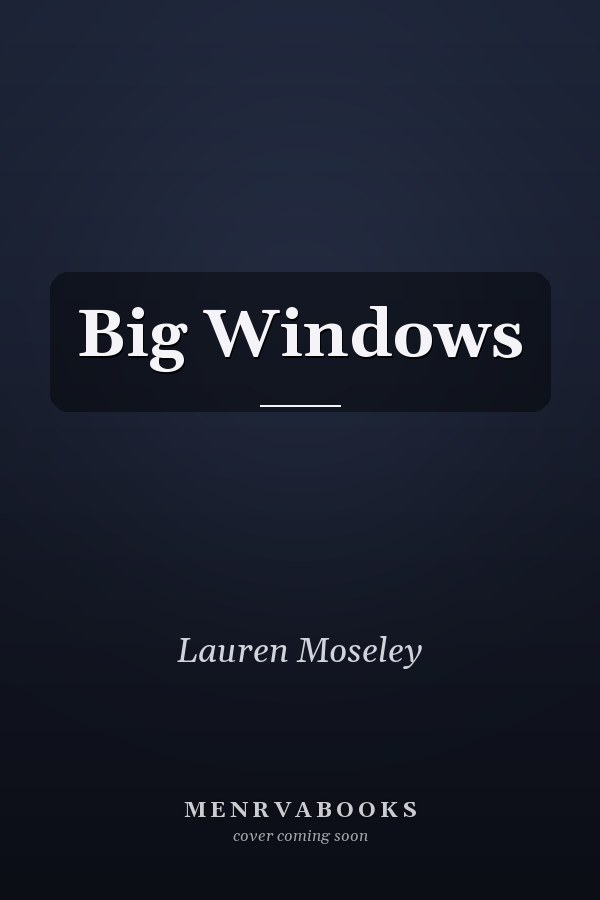 Big Windows