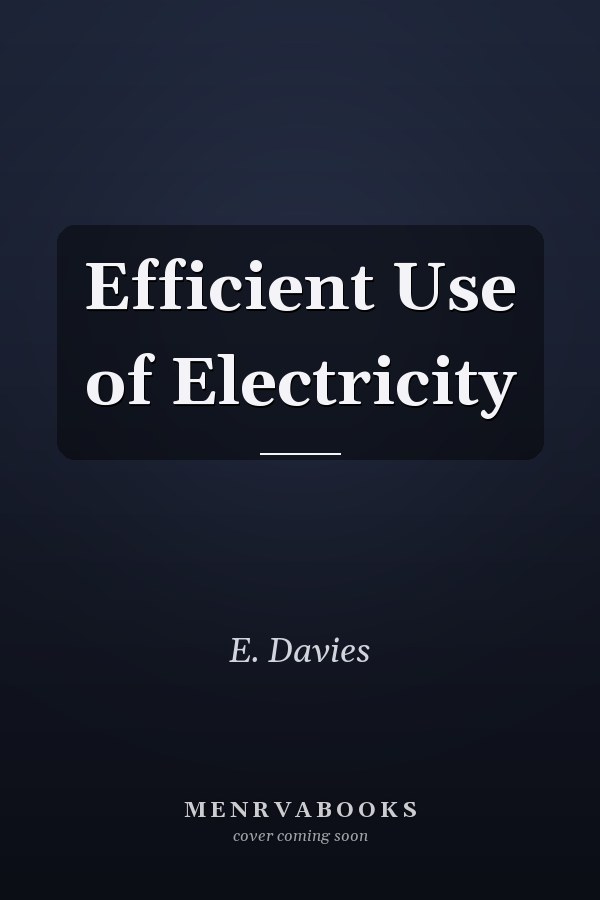 Efficient Use of Electricity