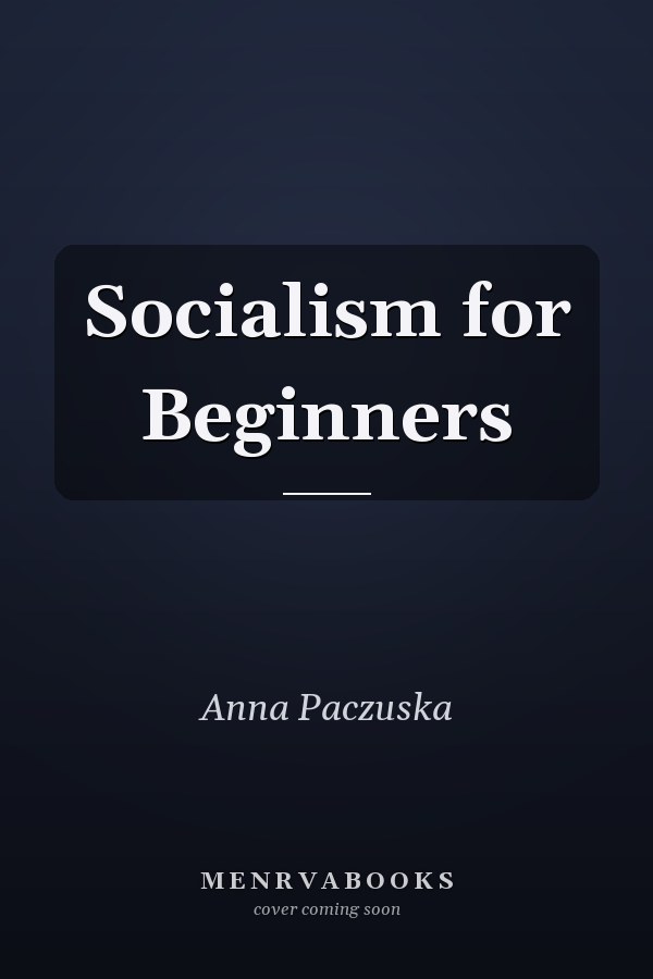 Socialism for Beginners