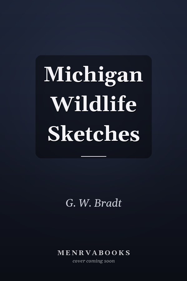 Michigan Wildlife Sketches