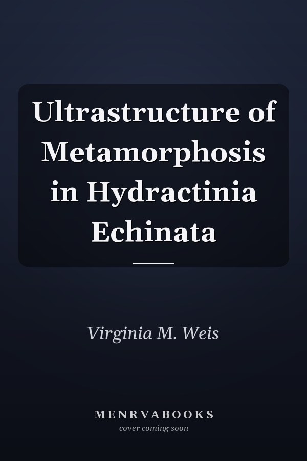 Ultrastructure of Metamorphosis in Hydractinia Echinata