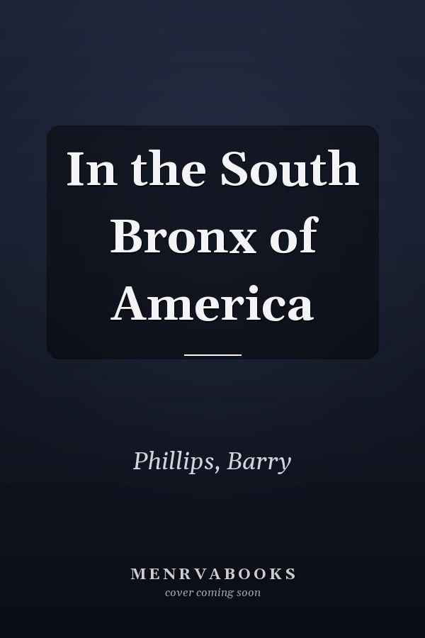 In the South Bronx of America