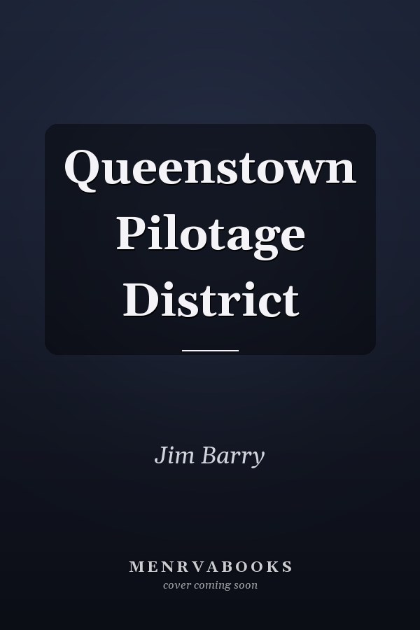 Queenstown Pilotage District