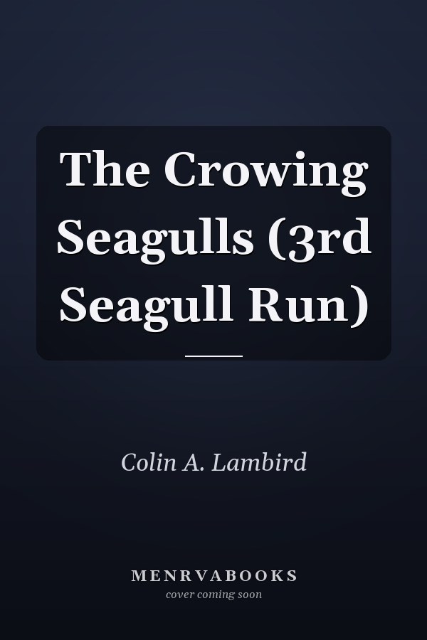 The Crowing Seagulls (3rd Seagull Run)
