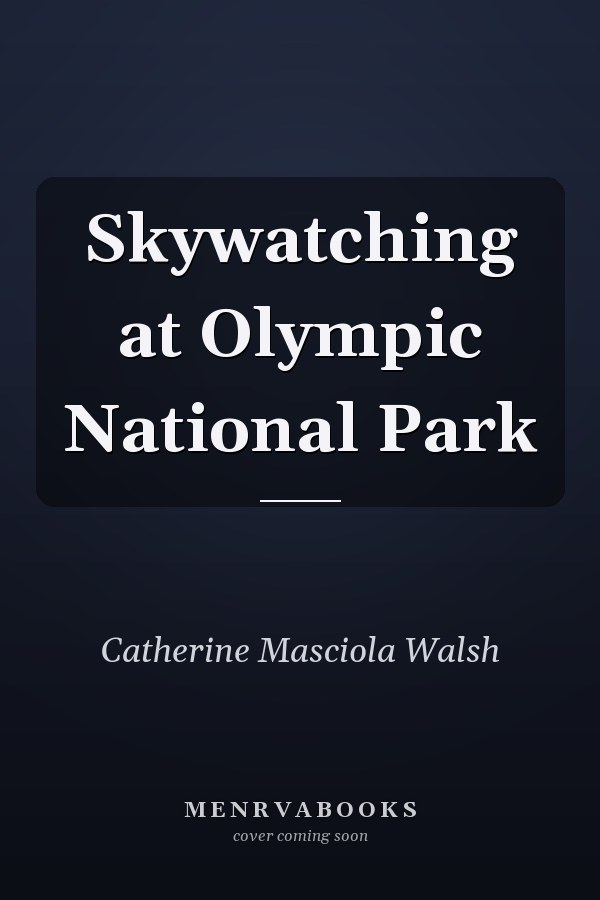 Skywatching at Olympic National Park