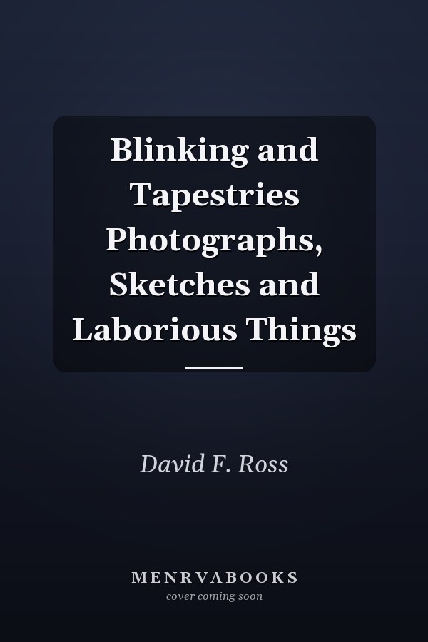 Blinking and Tapestries Photographs, Sketches and Laborious Things