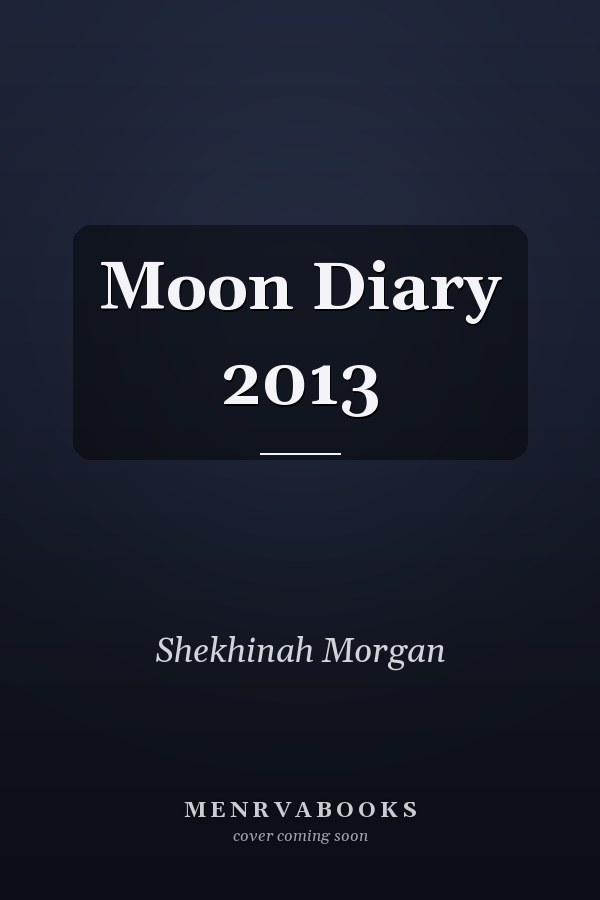Moon Diary 2013