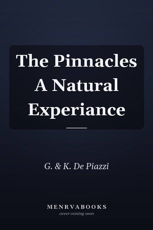 The Pinnacles A Natural Experiance