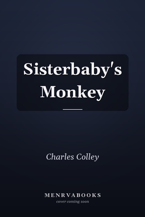 Sisterbaby's Monkey