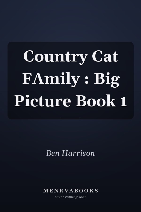 Country Cat FAmily : Big Picture Book 1