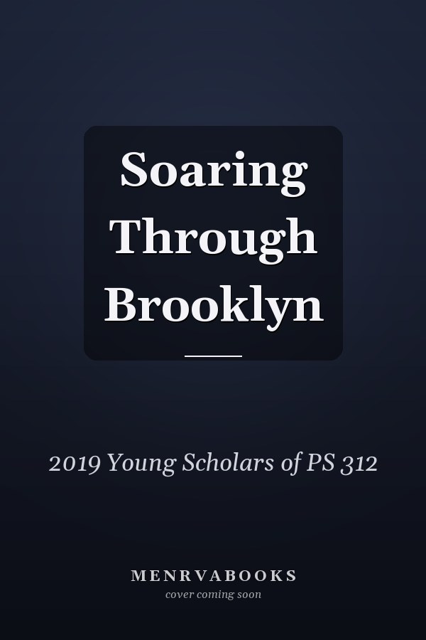 Soaring Through Brooklyn