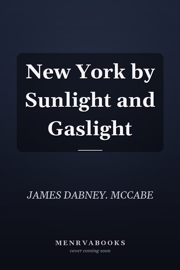 New York by Sunlight and Gaslight