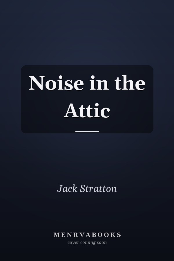 Noise in the Attic