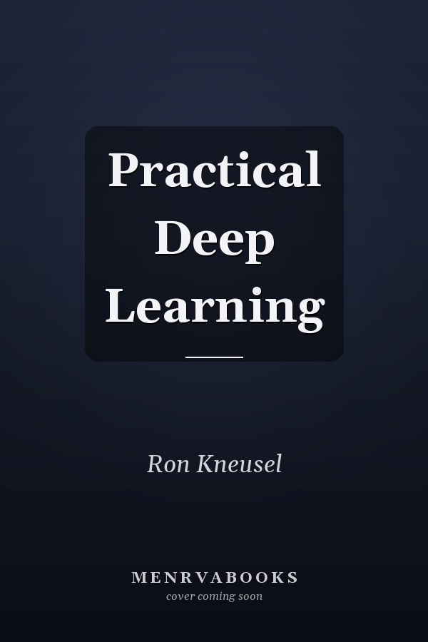 Practical Deep Learning