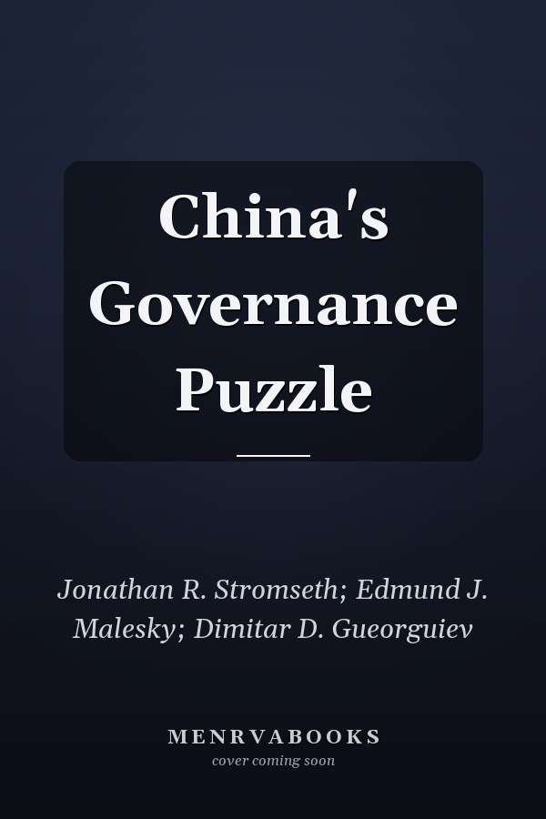 China's Governance Puzzle