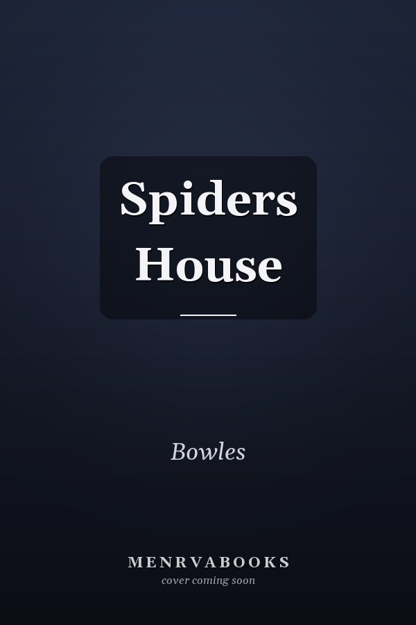 Spiders House