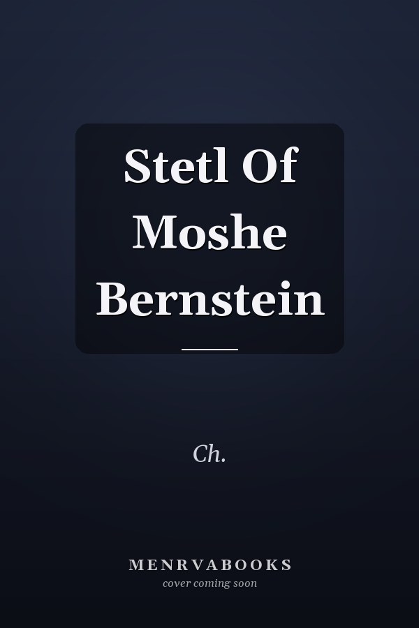 Stetl Of Moshe Bernstein