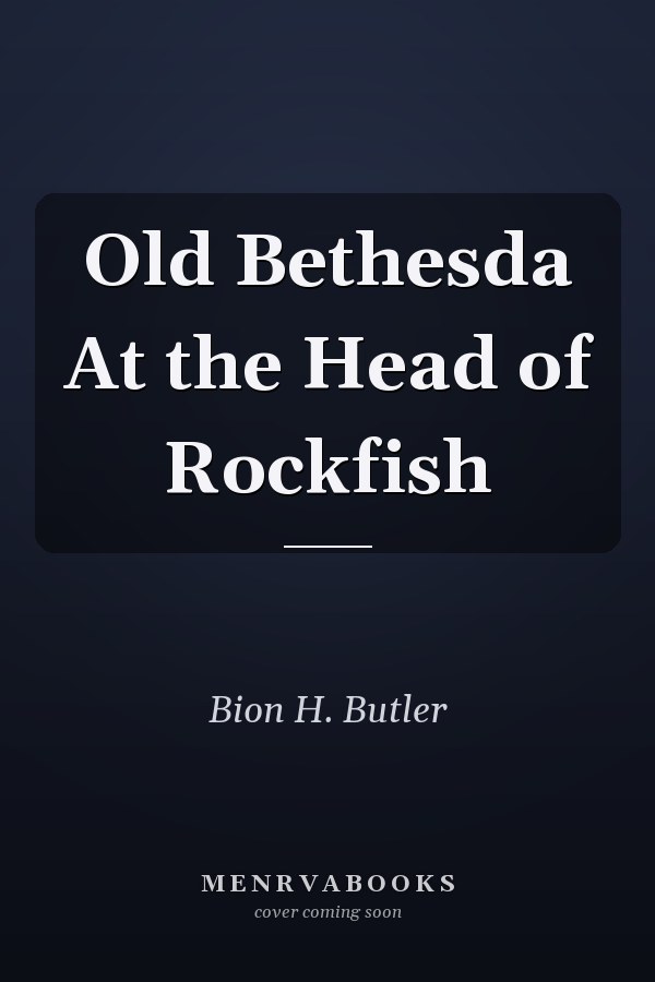 Old Bethesda At the Head of Rockfish