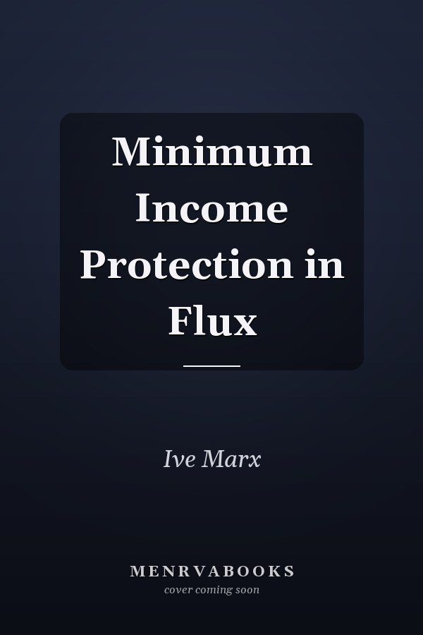 Minimum Income Protection in Flux