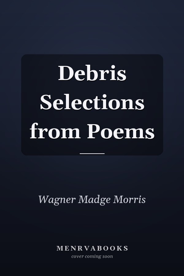 Debris Selections from Poems