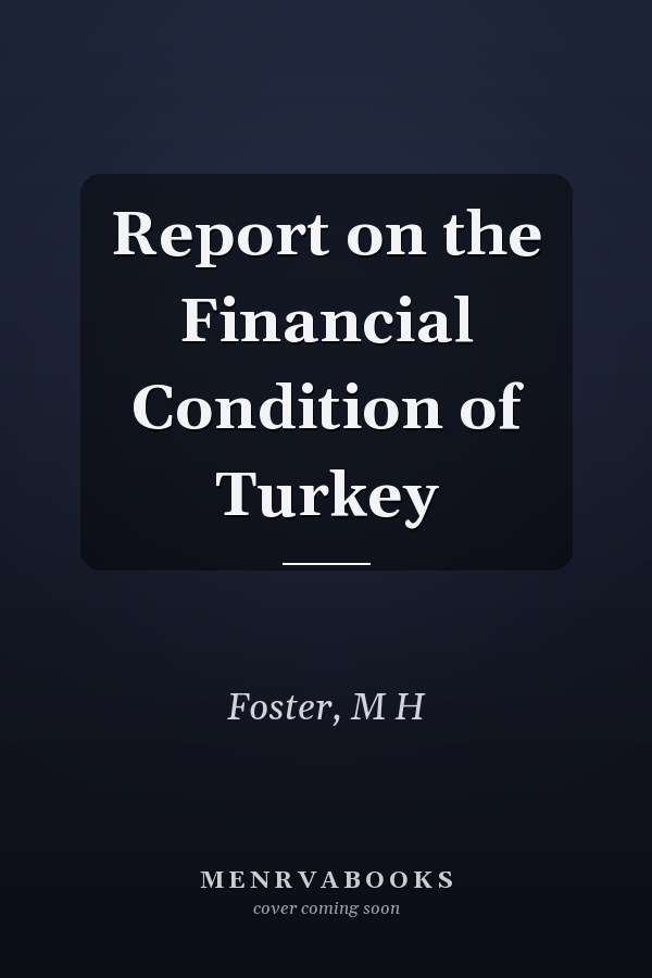 Report on the Financial Condition of Turkey