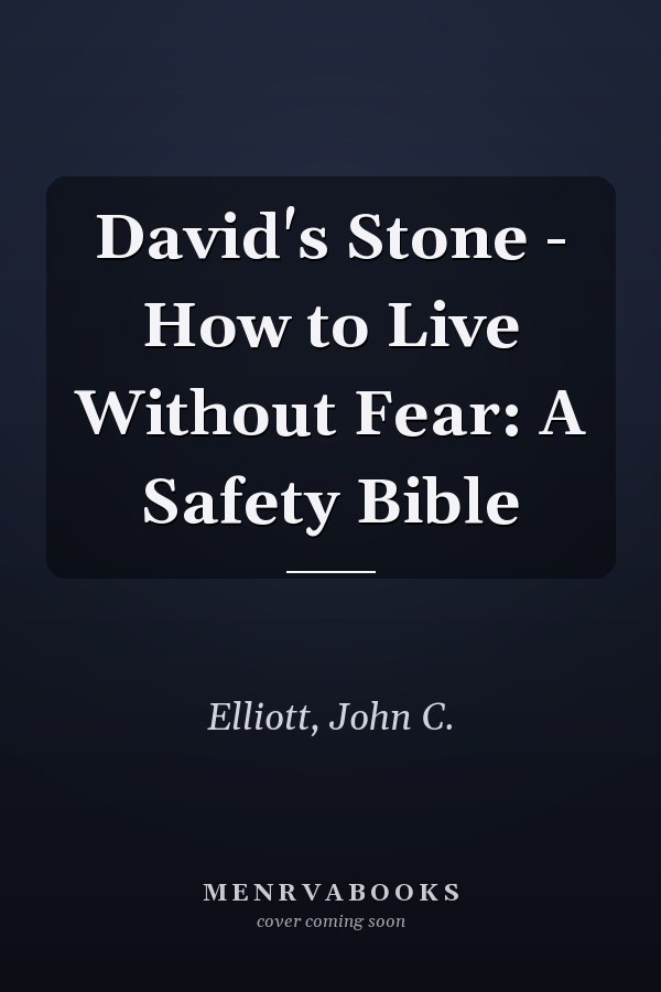 David's Stone - How to Live Without Fear: A Safety Bible