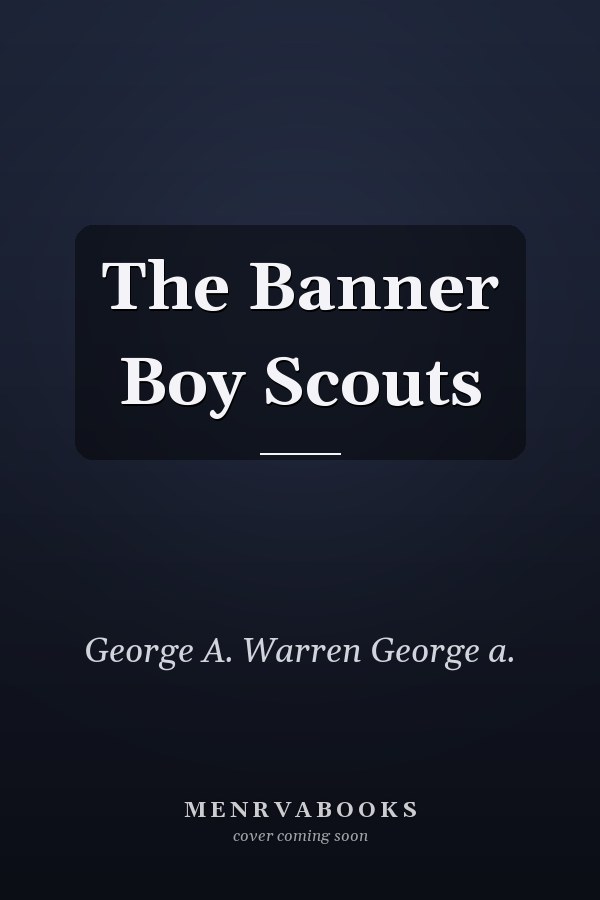 The Banner Boy Scouts
