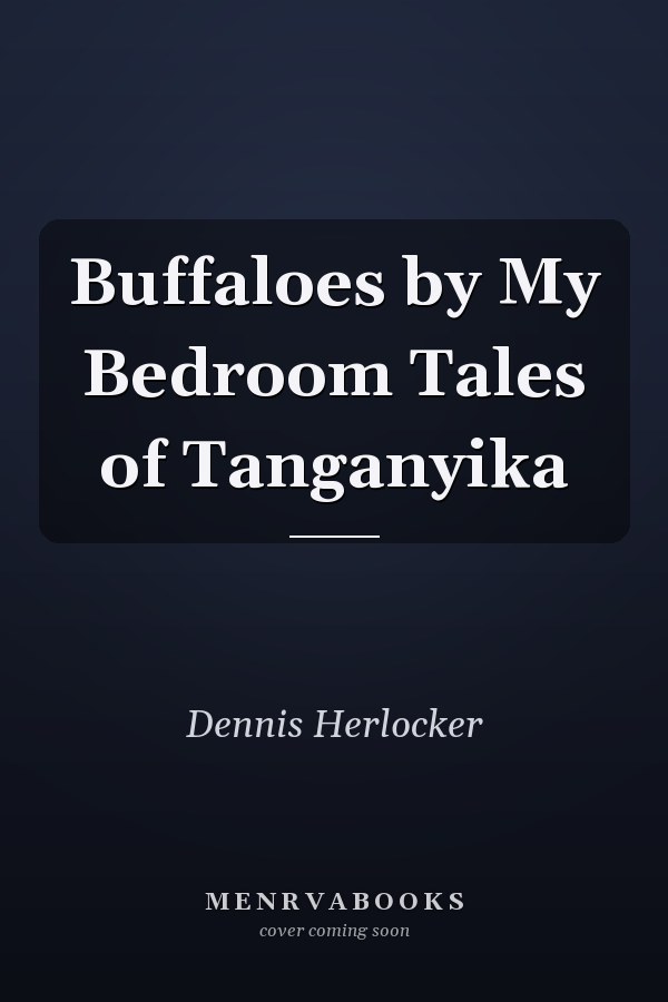 Buffaloes by My Bedroom Tales of Tanganyika
