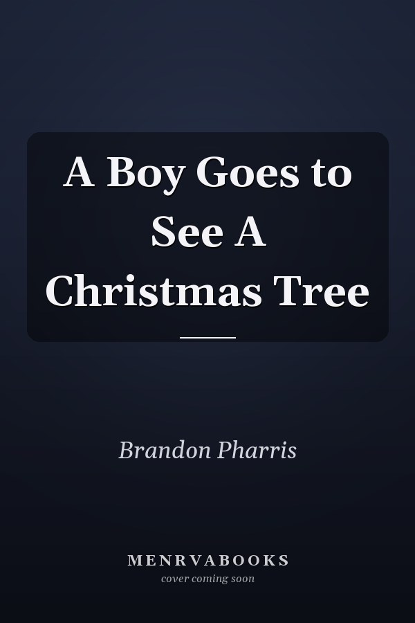 A Boy Goes to See A Christmas Tree