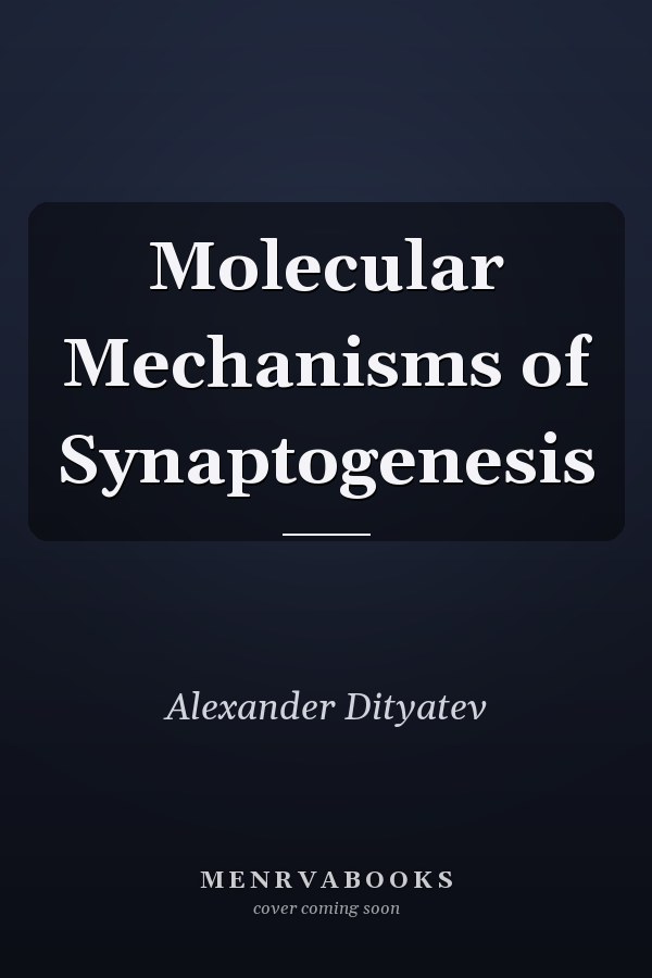 Molecular Mechanisms of Synaptogenesis