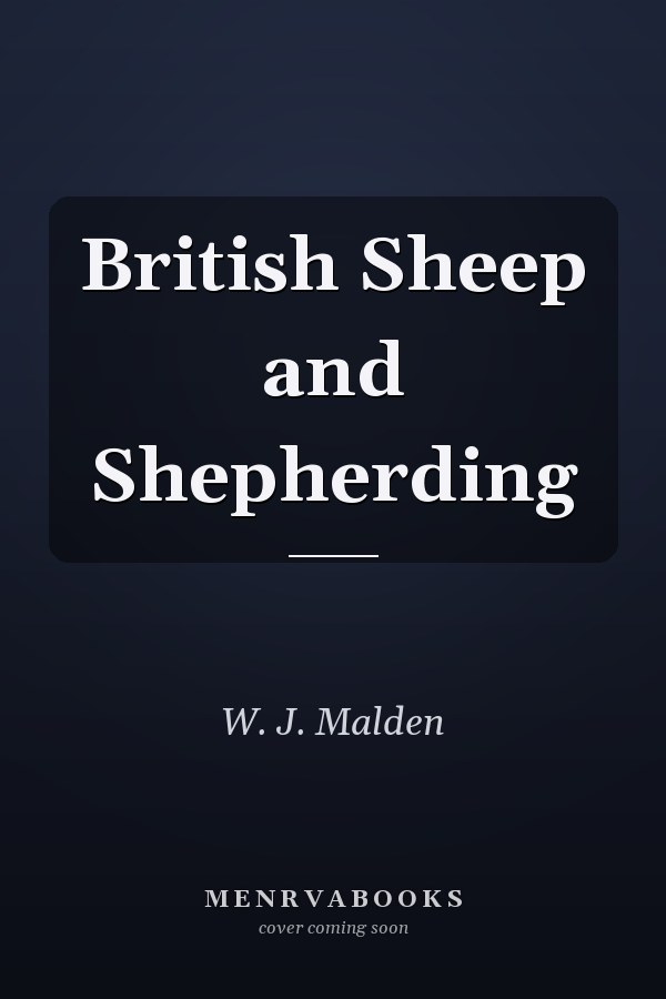 British Sheep and Shepherding