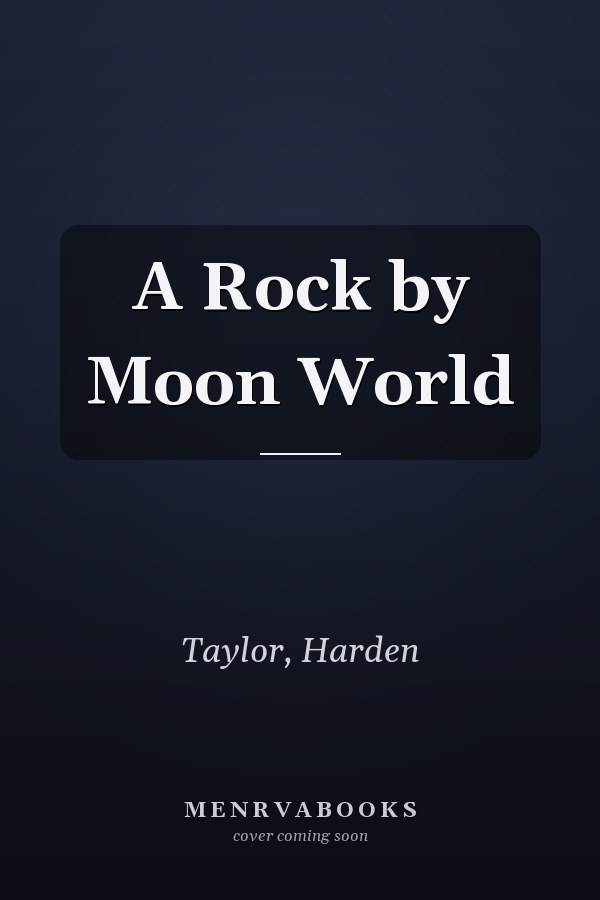 A Rock by Moon World