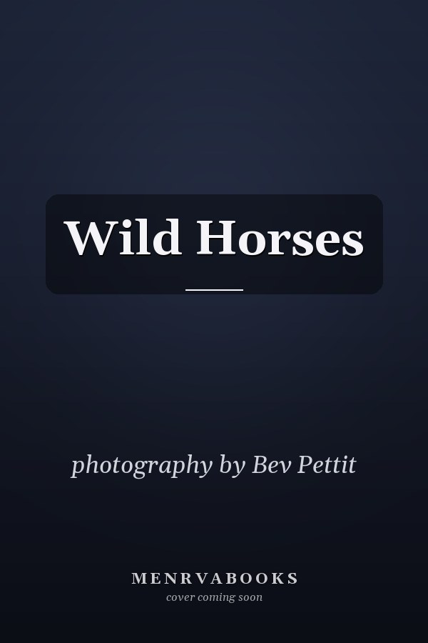 Wild Horses