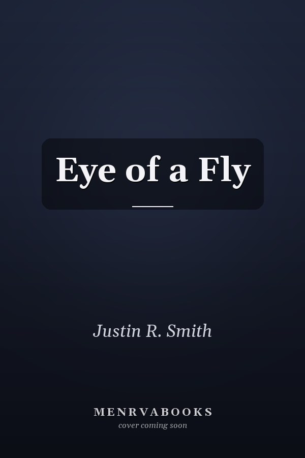 Eye of a Fly