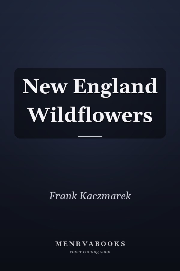 New England Wildflowers
