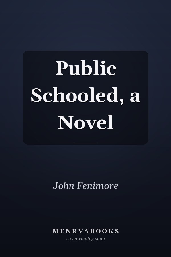 Public Schooled, a Novel
