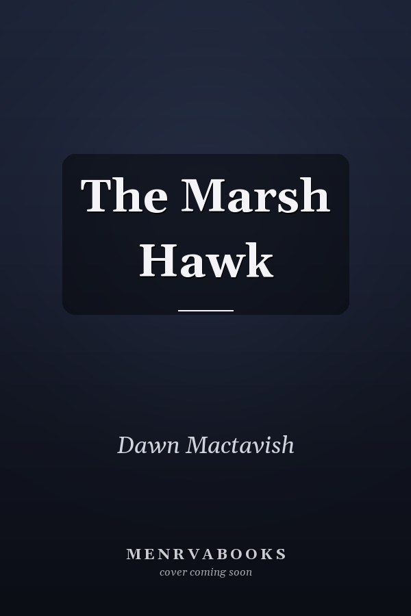 The Marsh Hawk