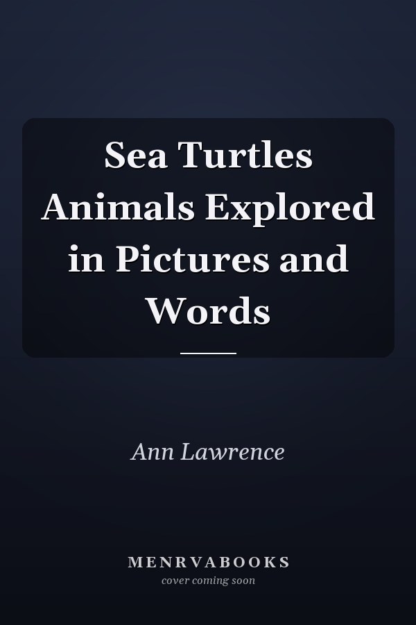 Sea Turtles Animals Explored in Pictures and Words